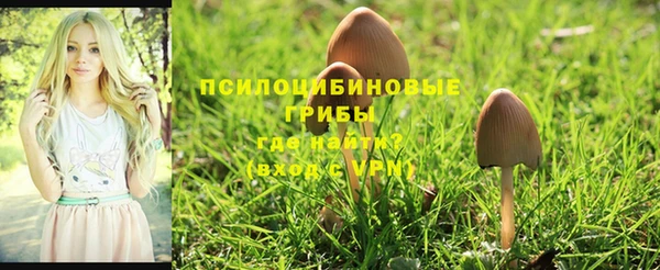 соль курить ск Бородино