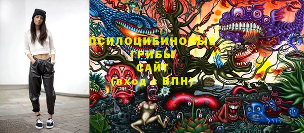 соль курить ск Бородино