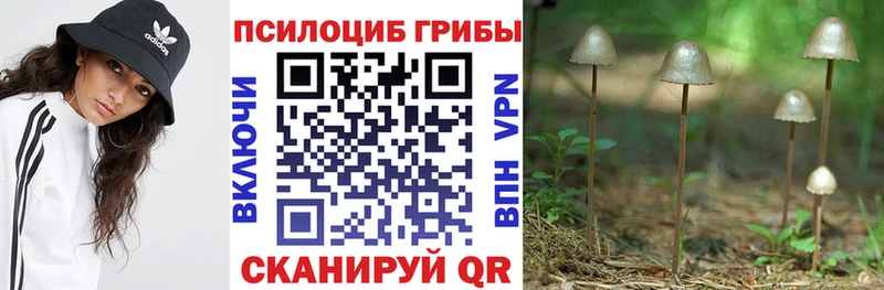 Галлюциногенные грибы GOLDEN TEACHER  даркнет сайт  Рыбинск 